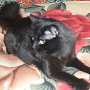 ���� �����, ������ ��������, 46 ��� - ��������� 25 ���� 2012