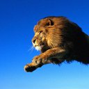 ���� Is-aslanov, ������, 28 ��� - ��������� 22 ����� 2013