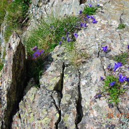 ���� ������, �����-���������, 39 ��� - ��������� 9 ������� 2010