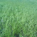 ���� ������ ��������, ��������, 27 ��� - ��������� 18 ���� 2011 � ������ �����