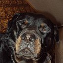  Lena, , 54  -  8  2010   