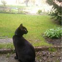 ���� Natalya, ��������, 56 ��� - ��������� 11 ������� 2011 � ������ ����� ����, ���� � &amp;�