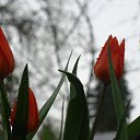 ���� ������, ������, 63 ���� - ��������� 5 ������� 2011 � ������ ������-���� �����....�