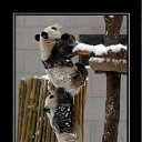 ���� ���������, ����, 39 ��� - ��������� 2 ������ 2011 � ������ �RoadKing�