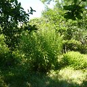 ���� ������, ������, 66 ��� - ��������� 7 ������� 2012 � ������ ���� ����������