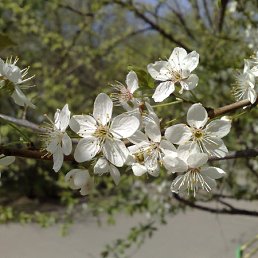 ���� ������, ������ - ��������� 25 ��� 2012