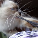   ( ),  -  22  2012     Ҹ!!!