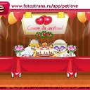  Arial,  , 42  -  6  2011   PetLove