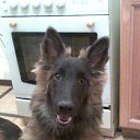 ���� ��������, �����������, 56 ��� - ��������� 13 ������� 2011 � ������ ���� ����������