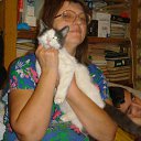  , --, 66  -  23  2012