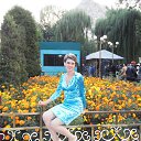 ���� ��������, ������, 49 ��� - ��������� 27 ������� 2013 � ������ ���� ����������