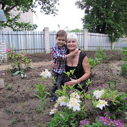 ���� ������, ������, 66 ��� - ��������� 26 ���� 2013