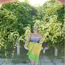  , -, 62  -  26  2012    