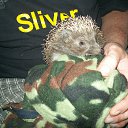 ���� �������, �������, 57 ��� - ��������� 2 ������� 2013 � ������ ���� ����������