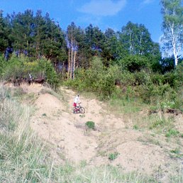 ���� Nik, ��������, 40 ��� - ��������� 15 ������� 2012