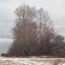 ���� ����, �������, 42 ���� - ��������� 12 ������ 2010