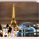 ���� �������, ������-��-���� - ��������� 12 �������� 2010 � ������ �PetLove�