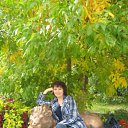 ���� �����, ������������, 56 ��� - ��������� 25 ���� 2013 � ������ ���� ����������