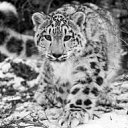 ���� Elmar, ����, 47 ��� - ��������� 2 ������� 2013 � ������ ���� ����������