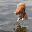 ���� �������, �����, 39 ��� - ��������� 2 ������ 2009 � ������ ��������� �����