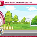  , -, 38  -  1  2010   PetLove