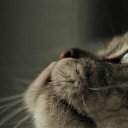 ���� ����� - ���������� ��������!!!, �����������, 56 ��� - ��������� 31 ������� 2009 � ������ �����Ȼ