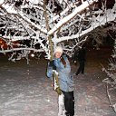 ���� ����������, ��������, 37 ��� - ��������� 16 ������� 2012 � ������ ���� ����������