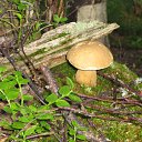 ���� ������, ������, 66 ��� - ��������� 8 ������� 2011 � ������ ���� ����������