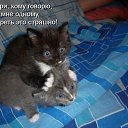 ���� ����, �������, 54 ���� - ��������� 11 ������� 2012 � ������ �������