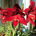 ���� ���������, ����������, 65 ��� - ��������� 25 ������ 2011 � ������ �������