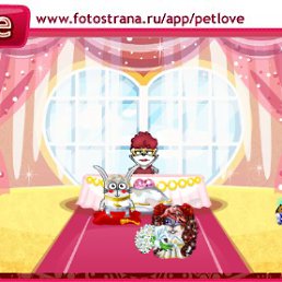 ���� ����, �����-���������, 47 ��� - ��������� 22 ������� 2010