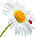 ���� ***�� �����, ������, 40 ��� - ��������� 22 ������� 2011 � ������ ���� ����������