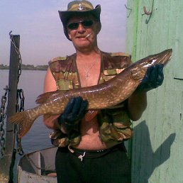 �����, �������, 61 ���