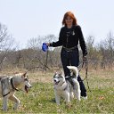  , -, 59  -  31  2011    