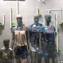 ���� ����, �����������, 38 ��� - ��������� 16 ������ 2011 � ������ ��� ����