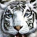 ���� ���������, ����, 64 ���� - ��������� 13 ������� 2011 � ������ ���� ����������