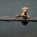 ���� Orange_juice, ������, 31 ��� - ��������� 3 ���� 2011 � ������ �������