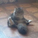 ���� Mikhail, ������� - ��������� 8 ������� 2012 � ������ ���� ����������