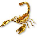 ���� �, ������ - ��������� 16 ����� 2012