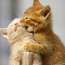 ���� Angely, ������� - ��������� 2 ������ 2011 � ������ ���� ����������