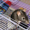  ok, --, 44  -  27  2010   