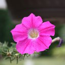 ���� ����, ������, 38 ��� - ��������� 28 ���� 2010 � ������ �������