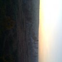 ���� ����, ���������, 35 ��� - ��������� 29 ������� 2009 � ������ �������