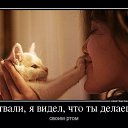 ���� ������������, ����� - ��������� 27 ������� 2013