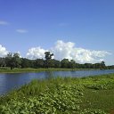  ,  -  18  2011          .