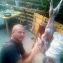 ������ �� ������� ���� ����������