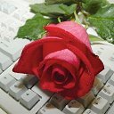 ���� �����, ����, 52 ���� - ��������� 25 ���� 2009 � ������ �������