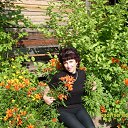 ���� ������, �����������, 60 ��� - ��������� 5 ���� 2012 � ������ ���� ����������