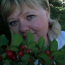 ���� ��������, ����-��� - ��������� 7 ��� 2011 � ������ ���� ����������