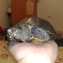 ���� ���, ������, 49 ��� - ��������� 24 ������ 2011 � ������ �������